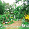Office Garden - Office Garden